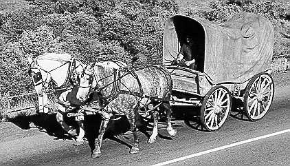 Conestoga Wagon (34Kb): Mennonite Archives of Ontario (1988 - 7.4)